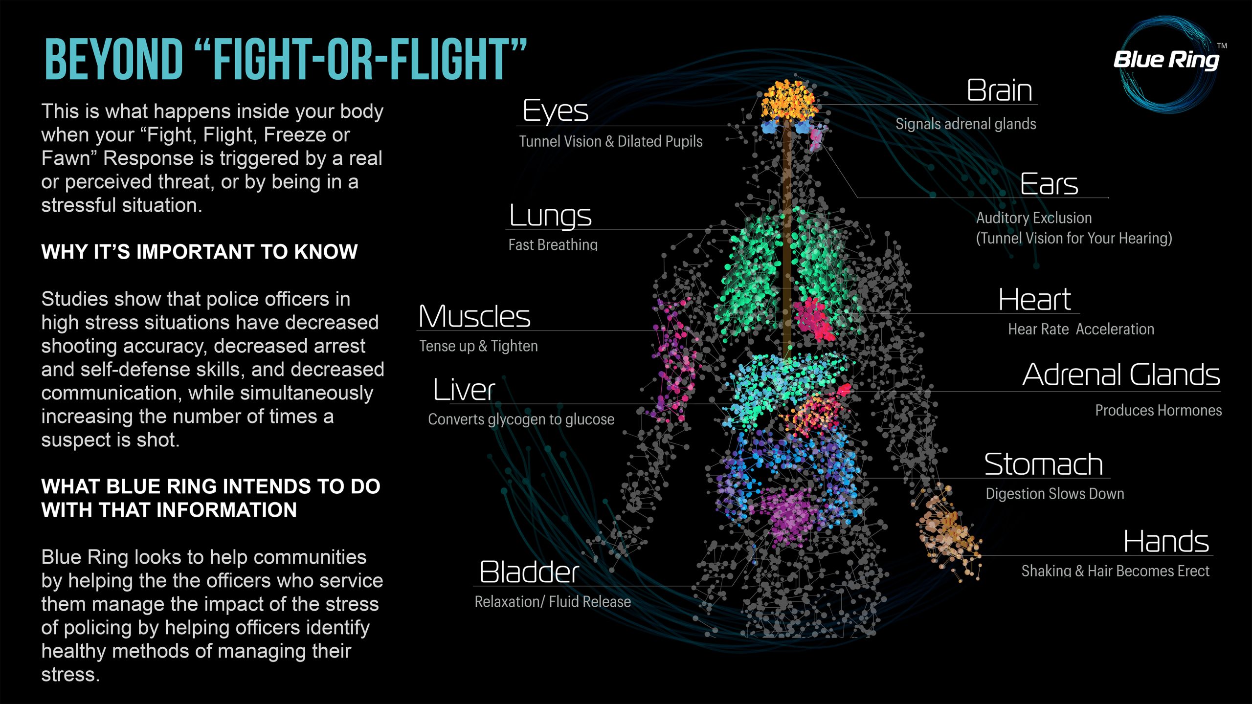 A digital diagram shows body systems in different colors and their responses in Fight or Flight situations with text labels. Text on the left explains Blue Ring technology for managing police responses to fight or flight situations.